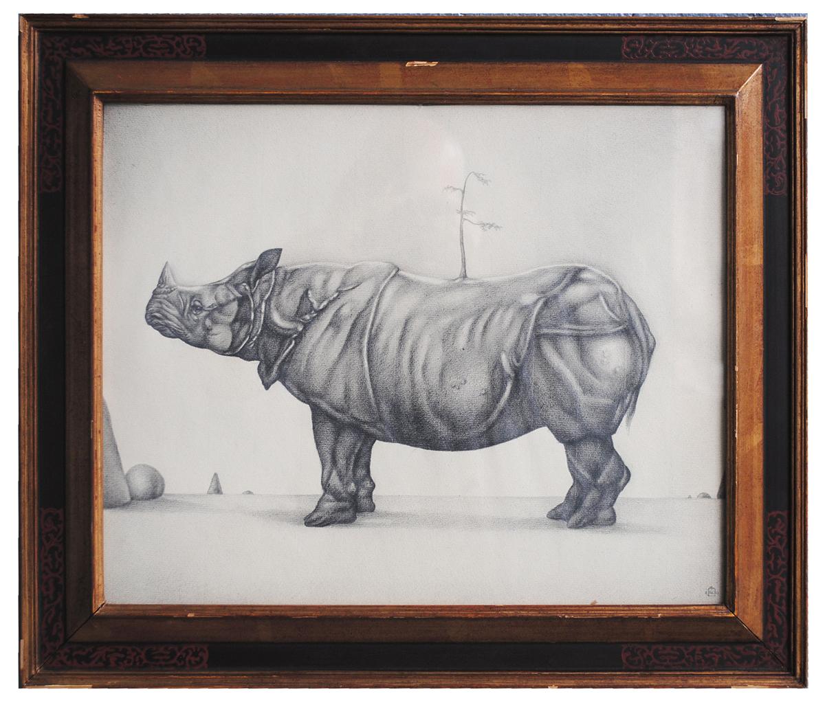 Dessin animalier au crayon sur papier Rhinocéros encadré