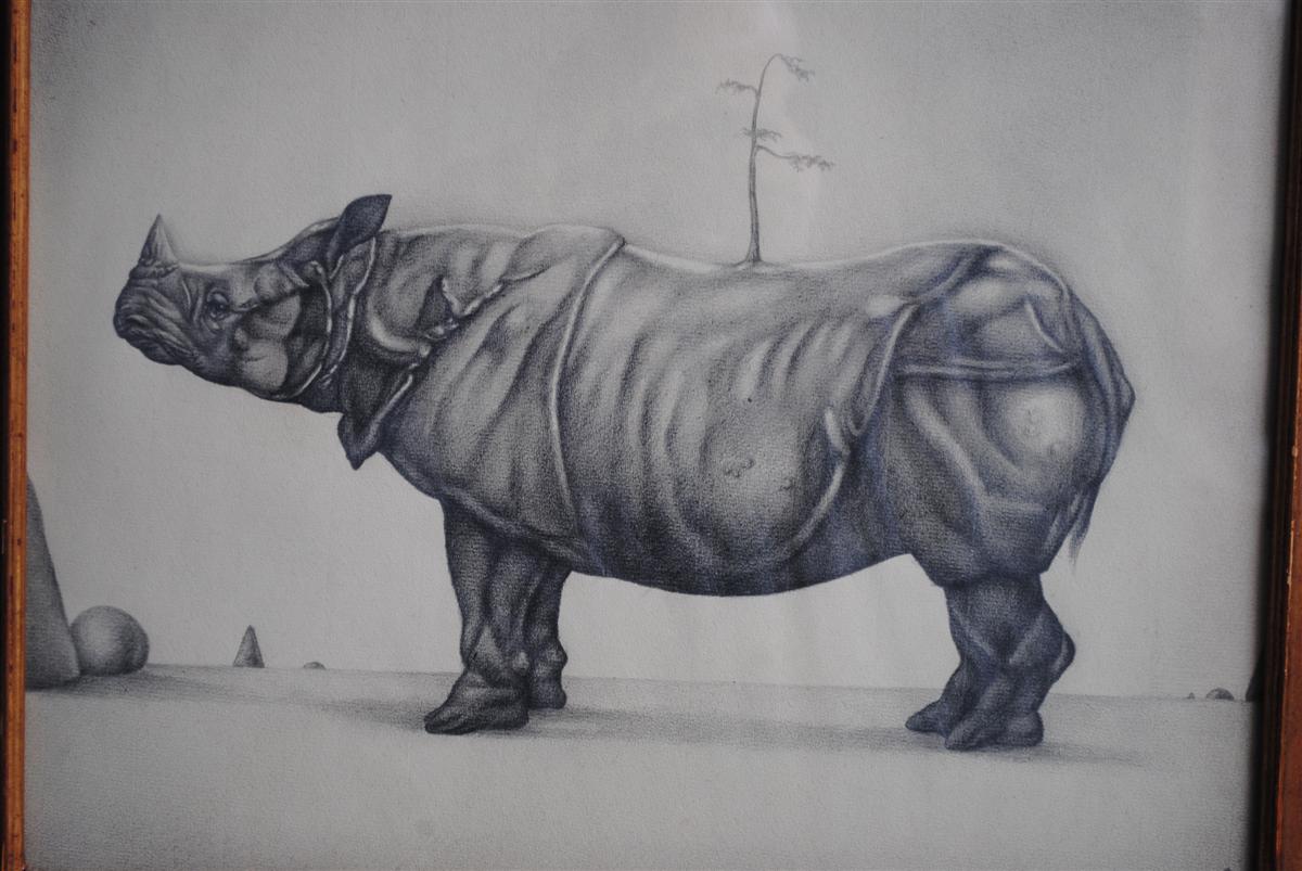 Dessin animalier au crayon sur papier Rhinocéros encadré