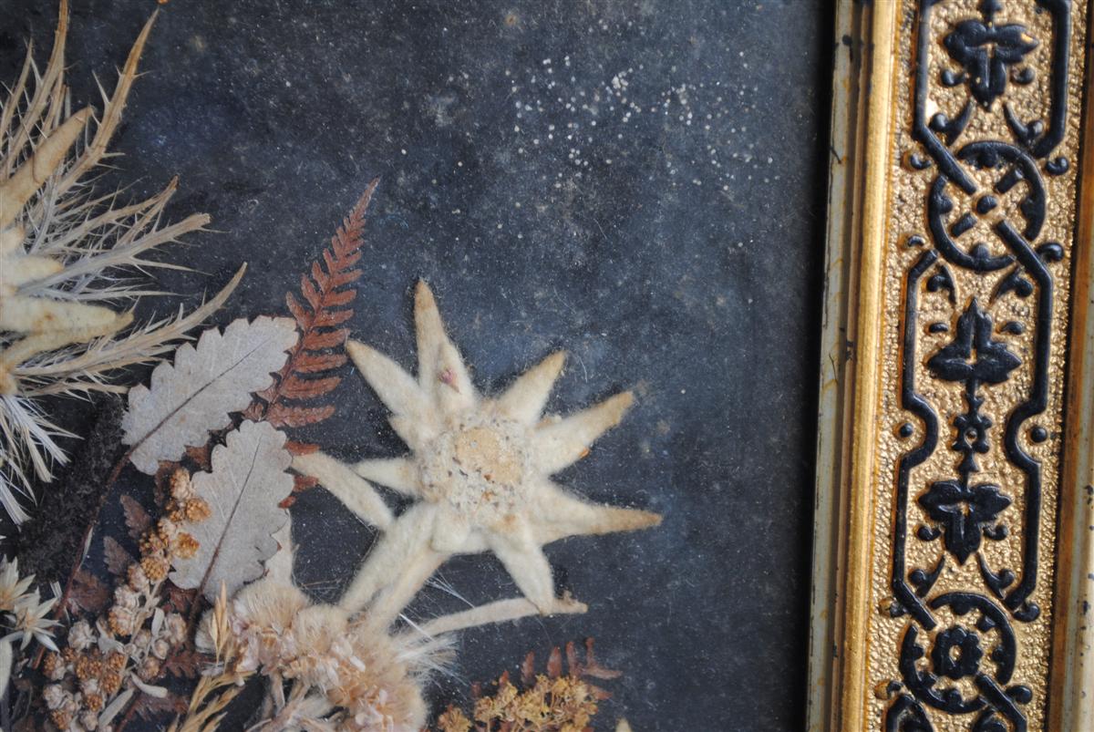 Souvenir des Alpes composition de fleurs séchées fin XIXème