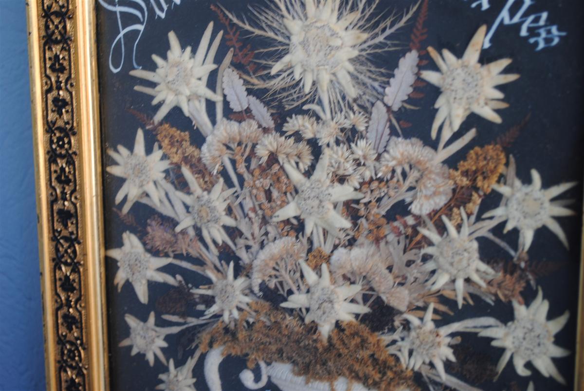 Souvenir des Alpes composition de fleurs séchées fin XIXème