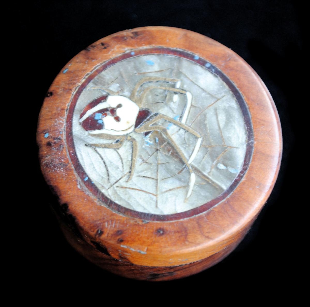 Boite loupe de thuya et araignée incrustée bronze 1900