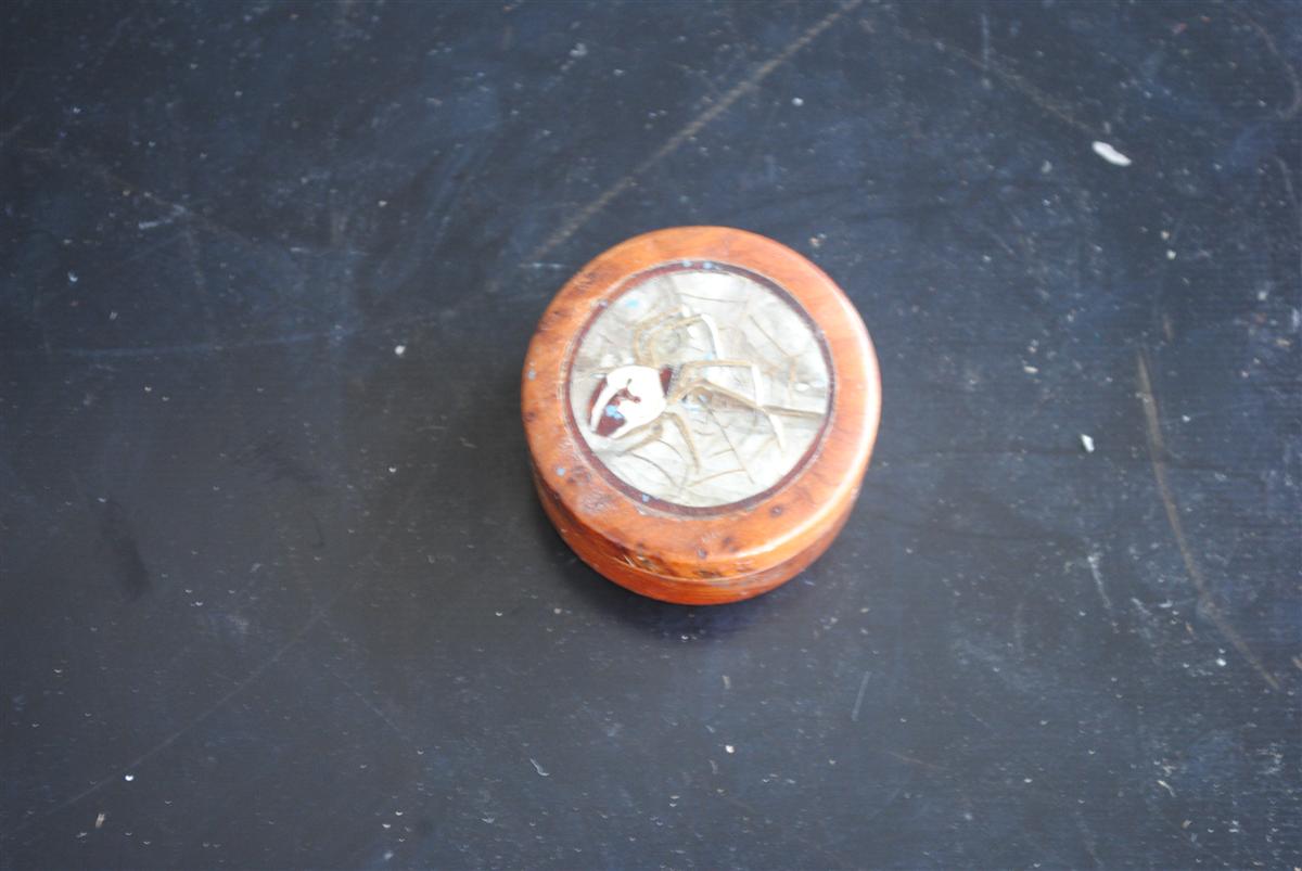 Boite loupe de thuya et araignée incrustée bronze 1900