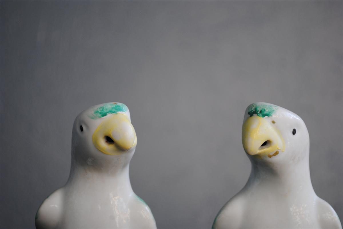 Couple de perroquet porcelaine chinoise début 20ème