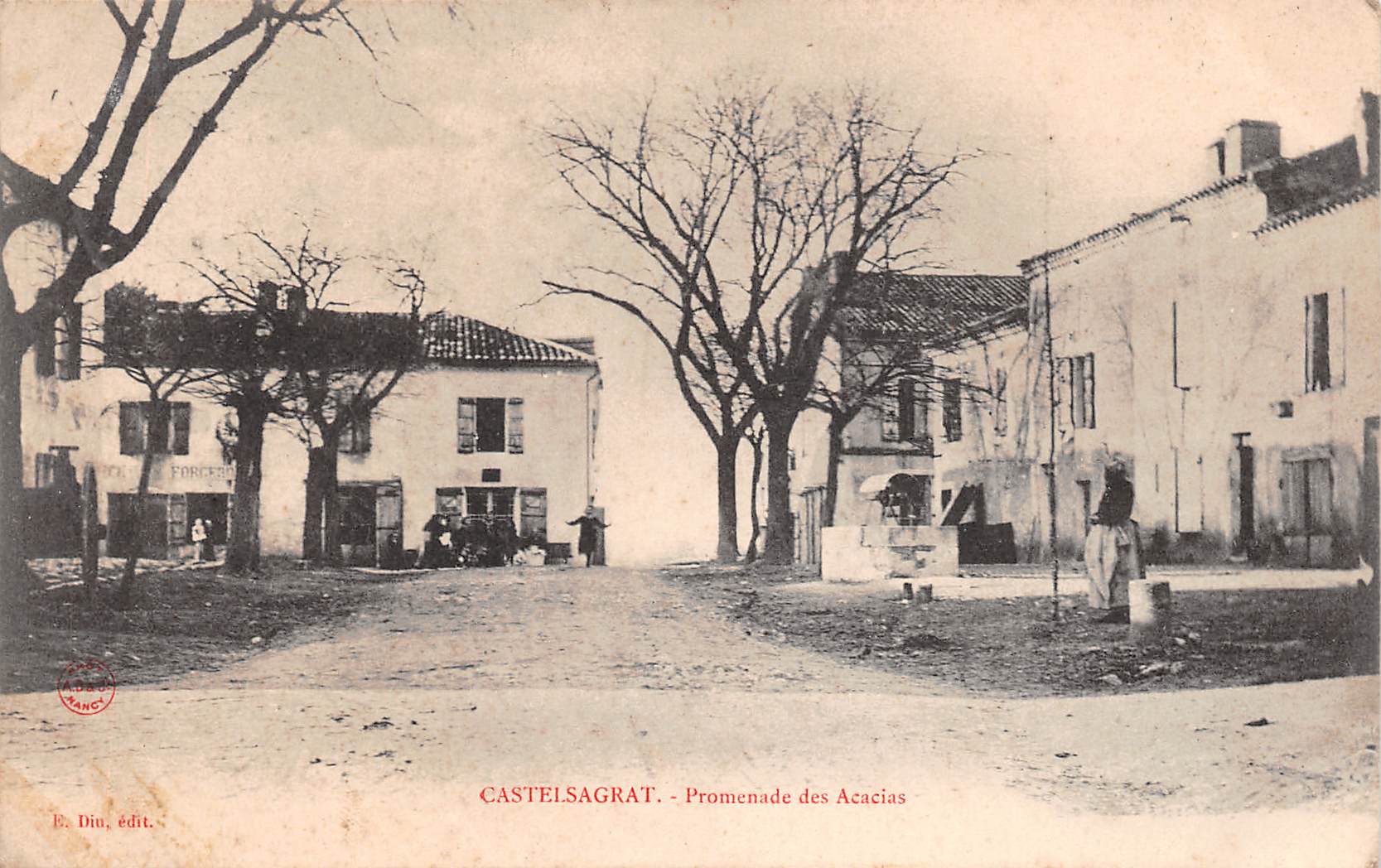 Carte postale ancienne - Castelsagrat, La promenade des acacias