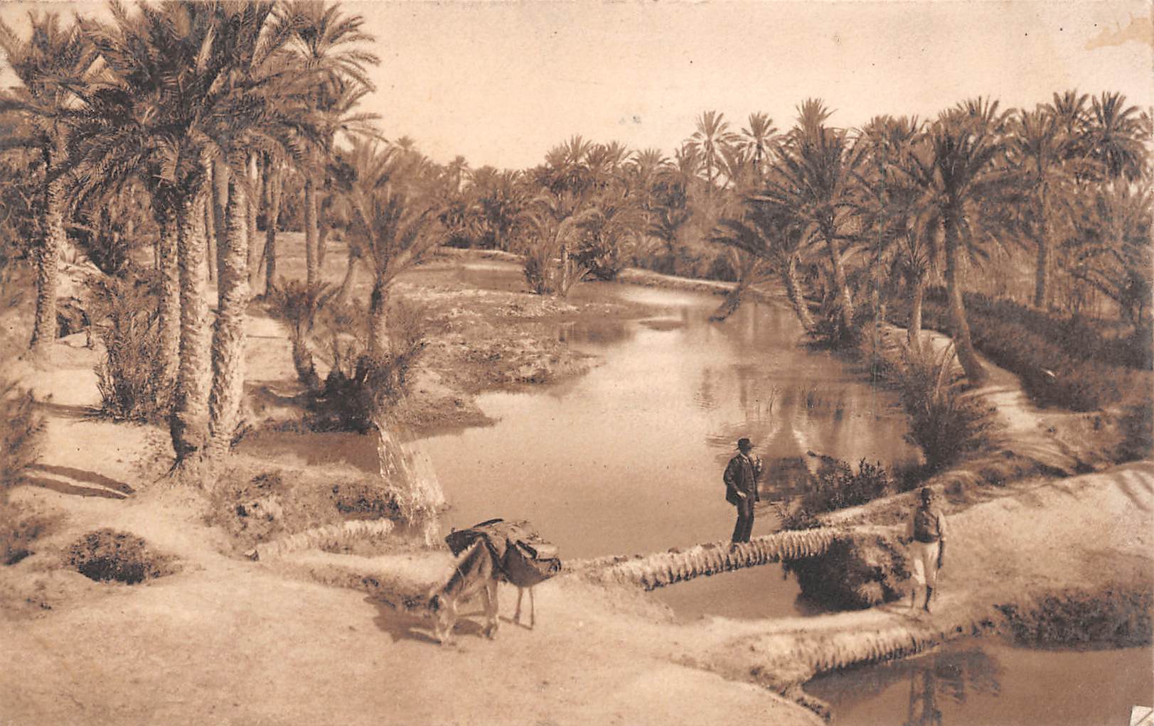 Carte postale ancienne - scènes Algériennes, Pont sur un Oued
