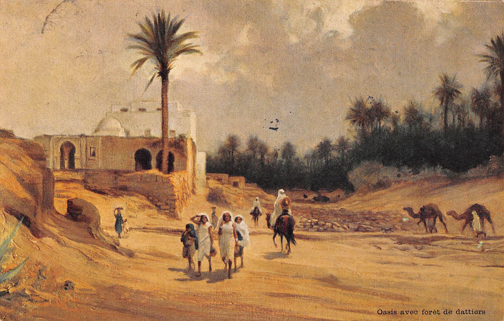 Carte postale ancienne - Tunisie, Oasis avec forêt de dattiers