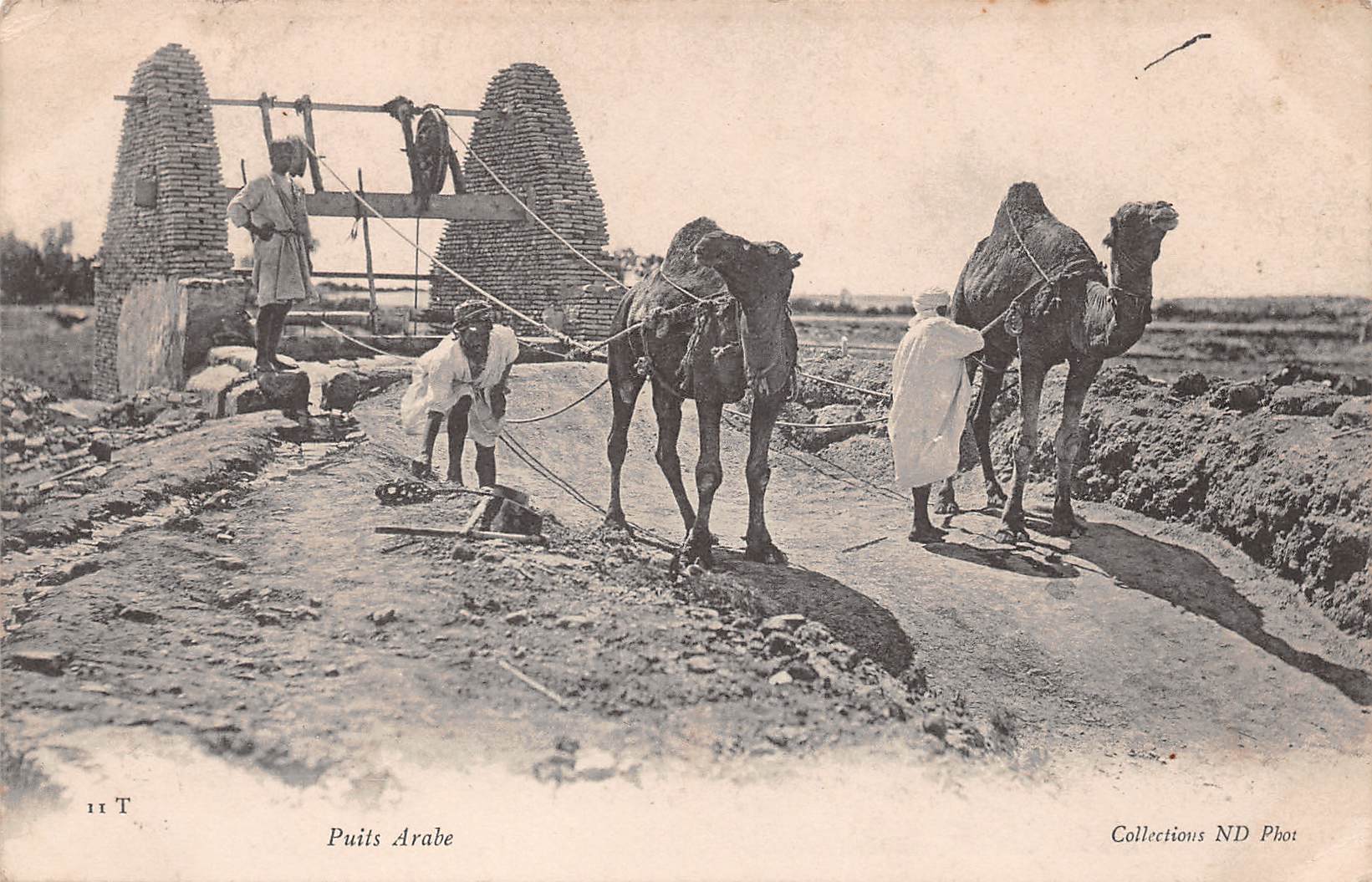 Carte postale ancienne - Tunisie, puits arabe