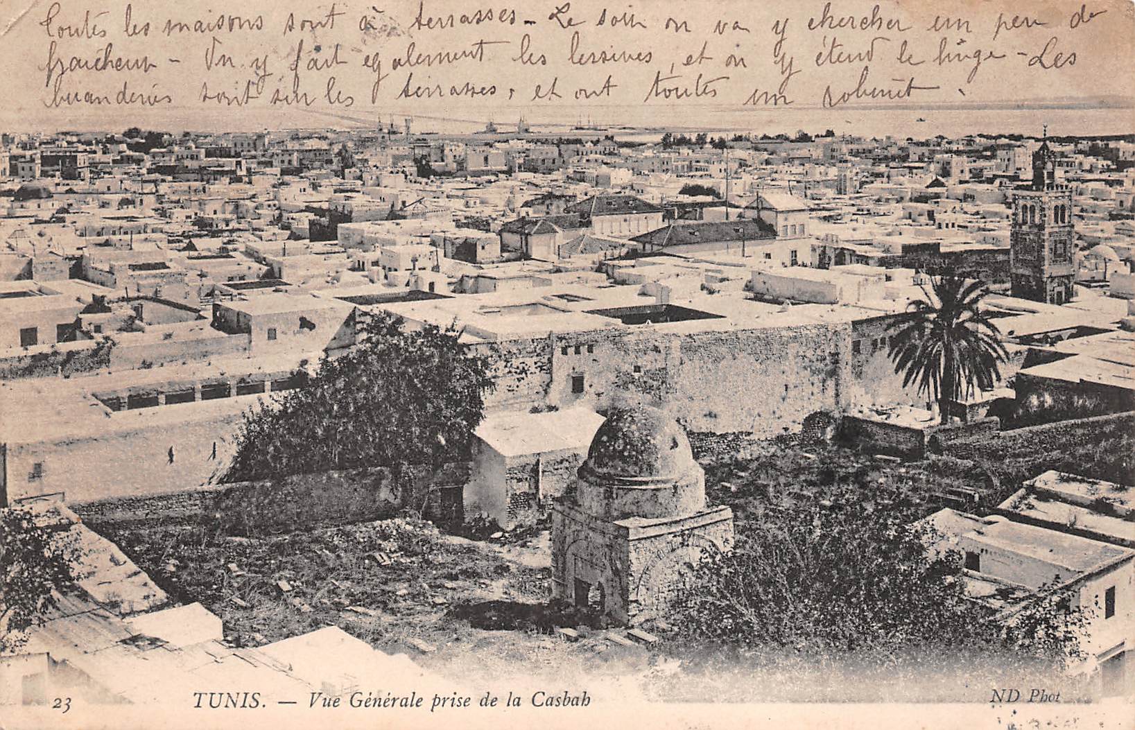Carte postale ancienne - Tunis Vue Générale prise de la Casbah