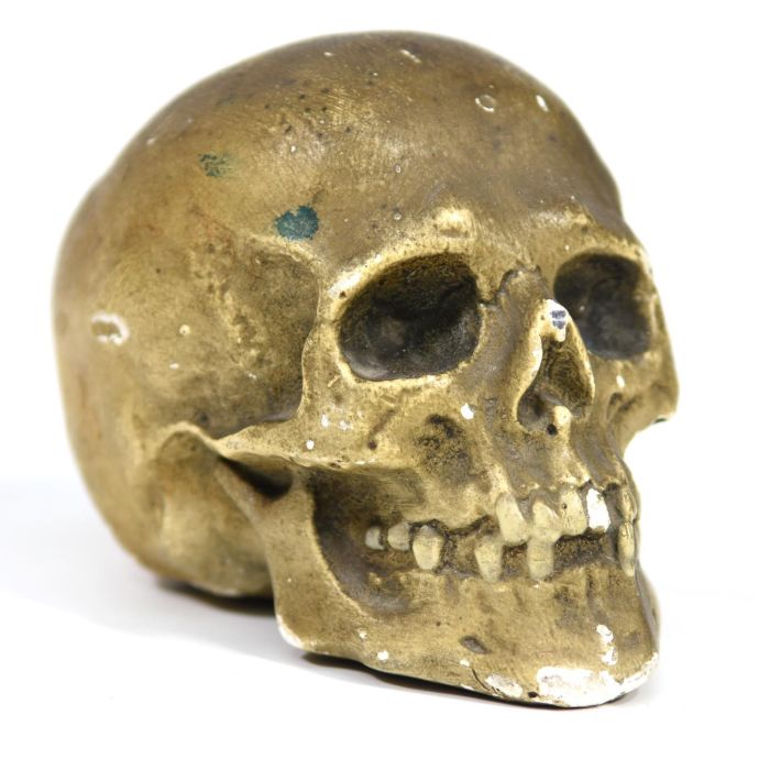 MARSEILLEANTIQUITES - Réduction de crâne humain moulé en plâtre patiné  ancien Le site du Village des antiquaires de FIFITURIN
