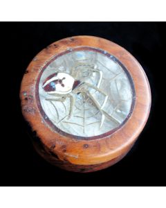 Boite loupe de thuya et araignée incrustée bronze 1900