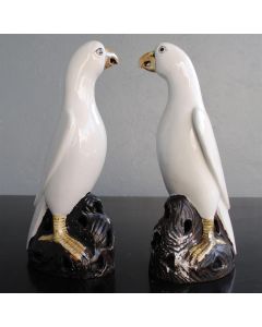 Couple de perroquet blanc porcelaine chinoise