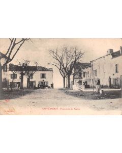Carte postale ancienne - Castelsagrat, La promenade des acacias