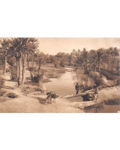 Carte postale ancienne - scènes Algériennes, Pont sur un Oued
