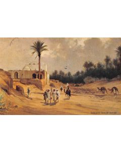 Carte postale ancienne - Tunisie, Oasis avec forêt de dattiers