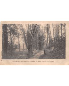 Carte postale ancienne - Martigny-les-bains, vue du parc