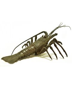 Bronze animalier Japonais à la langouste époque fin XIXème