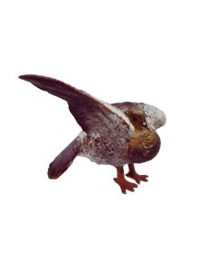Bronze de vienne pigeon époque XIXème