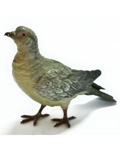 Bronze de vienne au pigeon biset de Geschultz époque XIXème