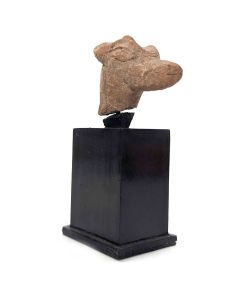 Archéologie statuette de tête de chien soclée 