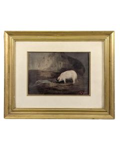 Gouache de Charles Jacques cochon dans son étable 