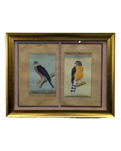 enluminures perses ou indiennes à décor d'oiseaux