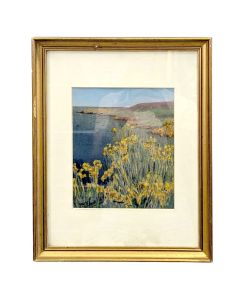 Aquarelle de René Seyssaud, Les genets au château à Cassis